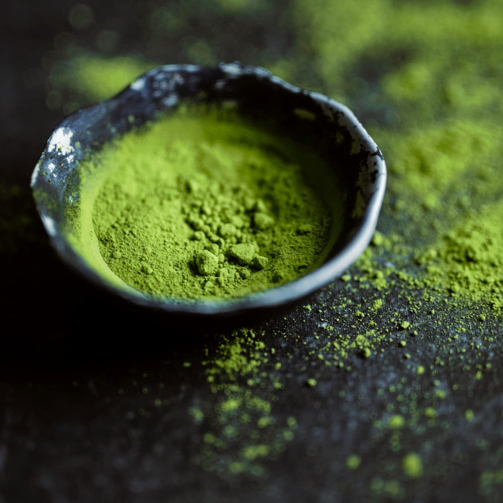 Moya Matcha to Go! Organic | Cutie cu 24 de pachete de 1,5 g | Matcha to Go! Ceai sau inclus cu un shaker de sticlă (24 bucăți x 1,5 g Matcha to Go Sticks)