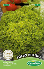 Gartensalat LOLLO ROSSA, Mehrfarbig, EC6013