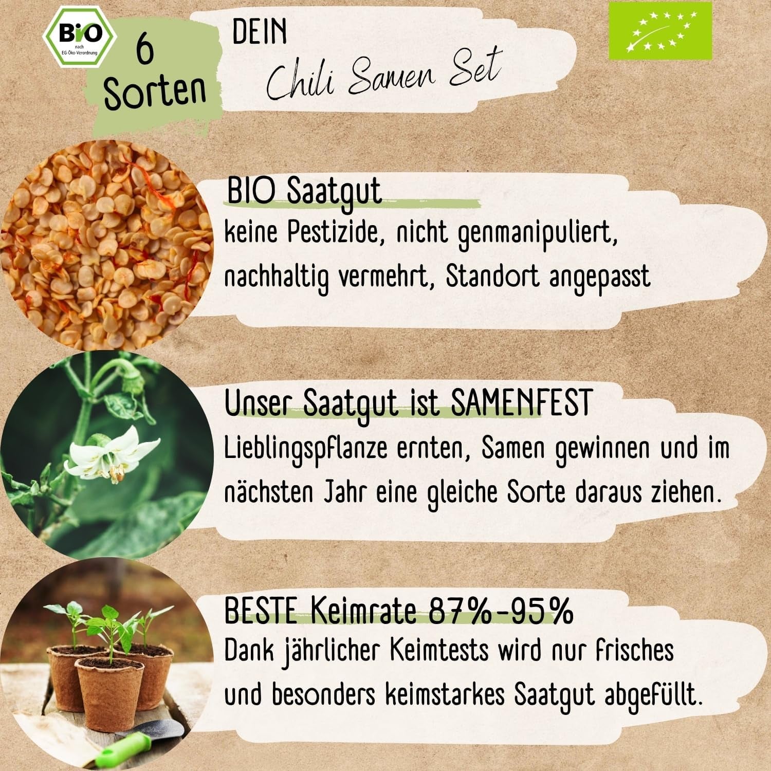 Set de semințe de chili organice – 6 semințe de chili organice, cu o intensitate ușoară până la extrem de iute, de calitate polenizată liber | de la picantul Habanero la soiuri de chili colorate și tradiționale – Semințe de Pepperoni