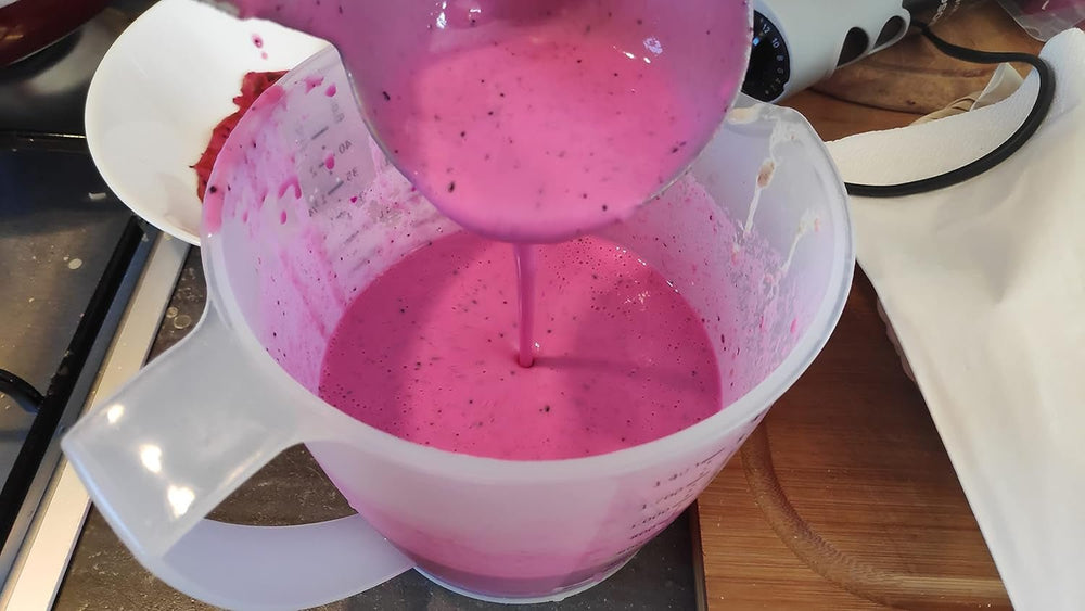 Fructe de dragon uscate liofilizate | Pitaya roz uscată natural Vegan | Potrivit pentru a face pudră de fructe de dragon Pitahaya Smoothie Bowl | Fructe de dragon uscate liofilizate | ZingyZoo (100g) Produse deshidratate Naty Shop