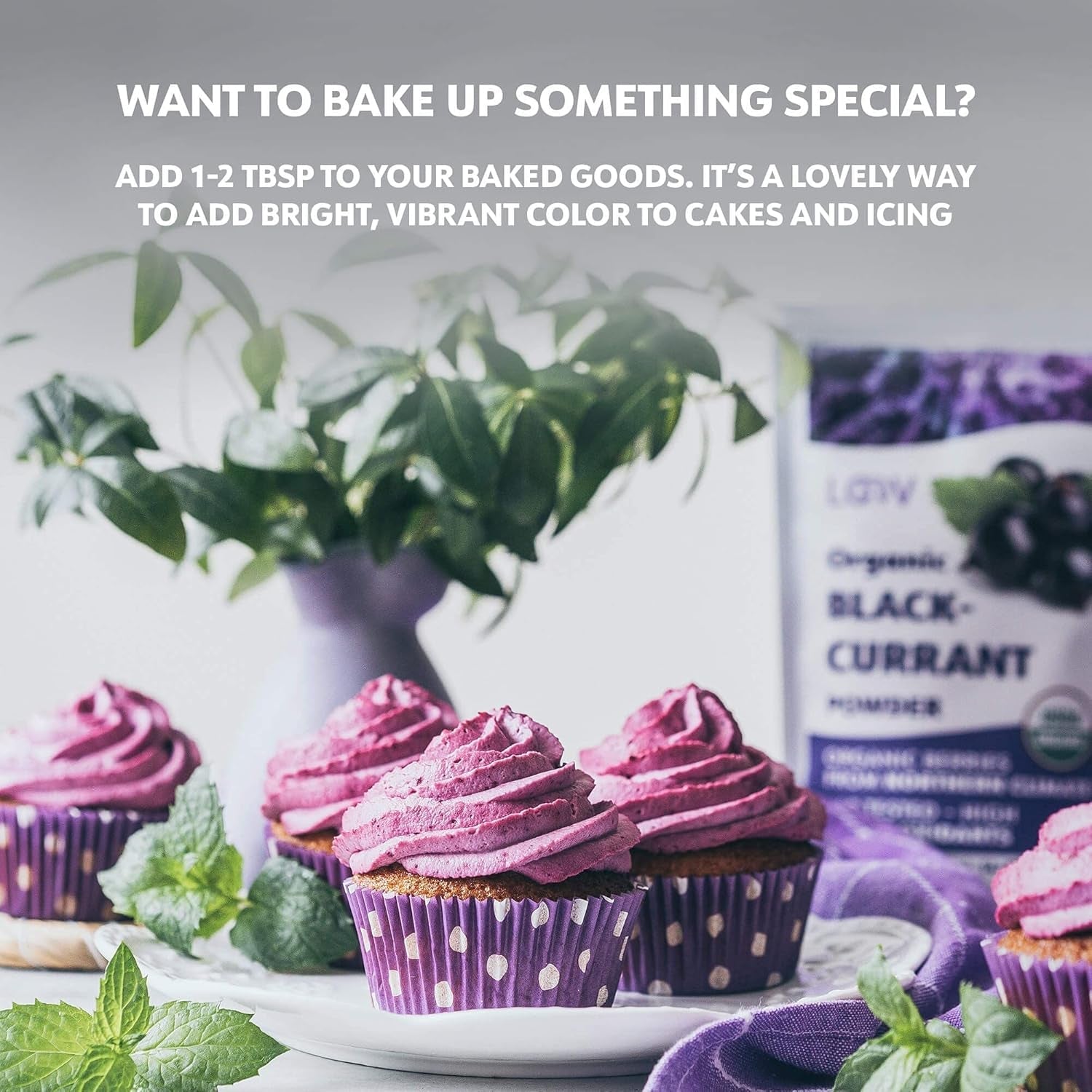 LOOV Pudră organică de coacăze negre, Fabricată din 100% coacăze negre întregi, Fructe de pădure organice liofilizate și pudrate, Cultivate în Europa de Nord, Fără zahăr adăugat, 113 g Produse deshidratate Naty Shop