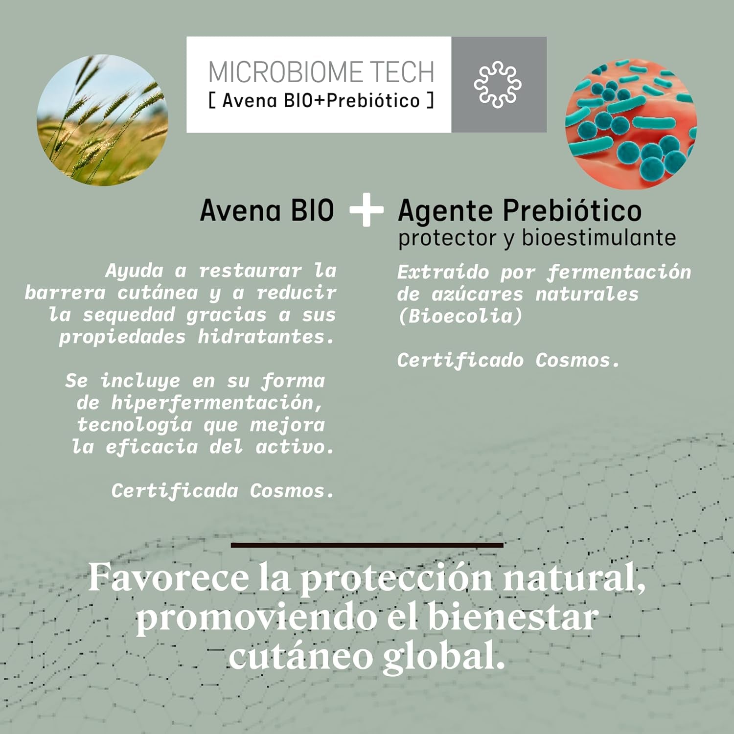 Suavinex, Syndet șampon pentru copii pentru piele și păr, fără săpun, 750 ml + loțiune hidratantă pentru corp, 750 ml, potrivit pentru pielea sensibilă și nou-născut, cu 90%-93% ingrediente naturale. Copii - Baie si Skincare Naty Shop